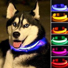 Load image into Gallery viewer, LED Dog Collar